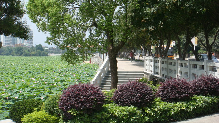 东莞市桥头镇莲湖广场景观改造工程